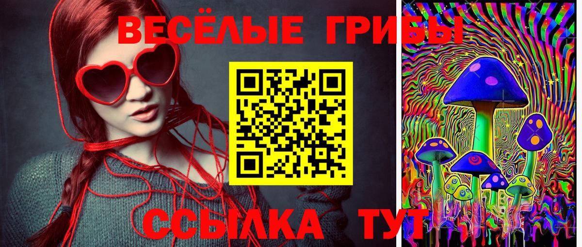 Галлюциногенные грибы GOLDEN TEACHER Ачхой-Мартан