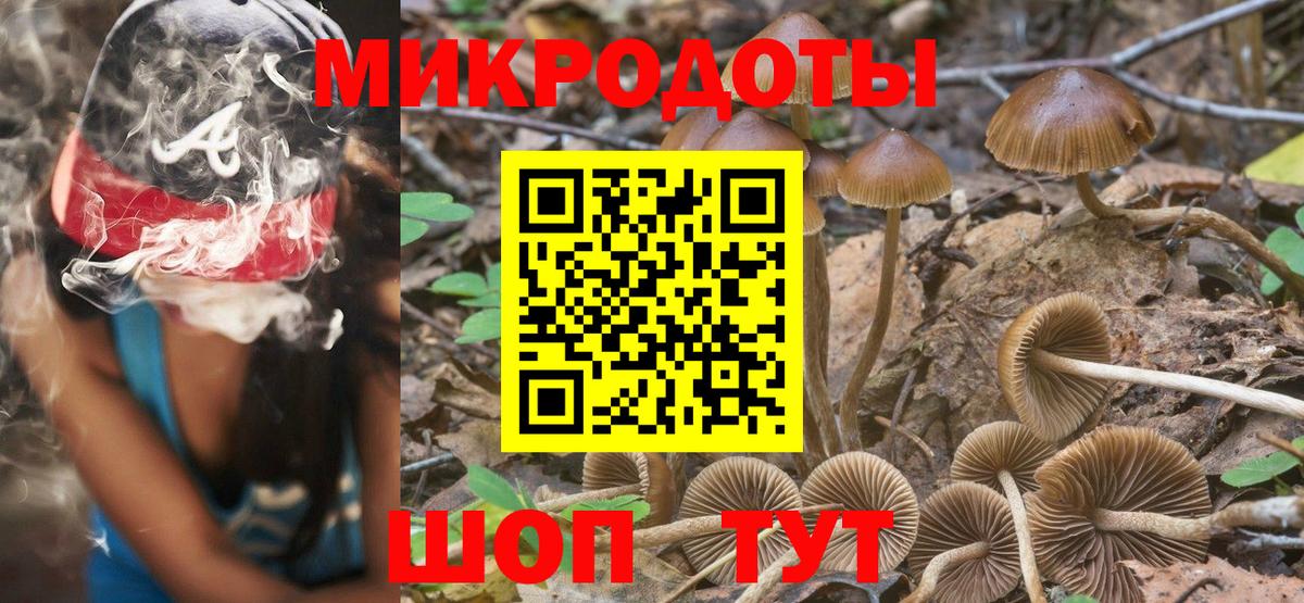 Ачхой-Мартан  Псилоцибиновые грибы Psilocybe  Вход с VPN 
